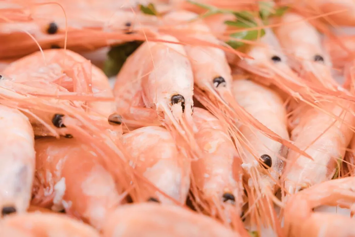 Producto mediterráneo del restaurante Racó del Pla de Alicante