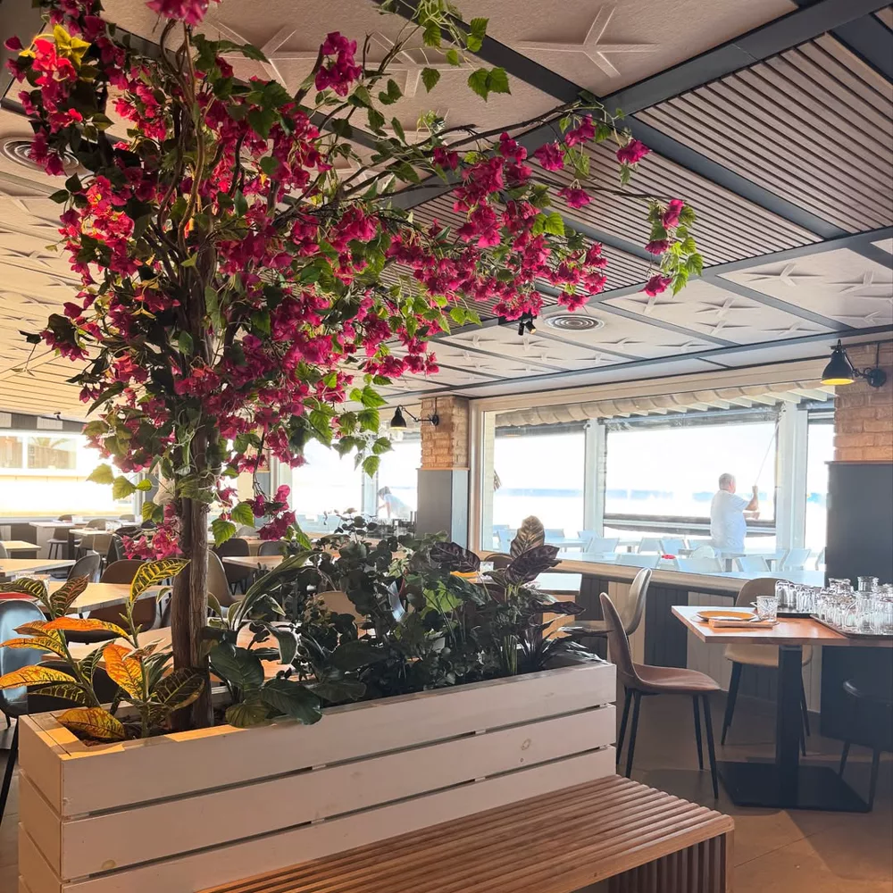 Ambiente de Casa Julio en Alicante