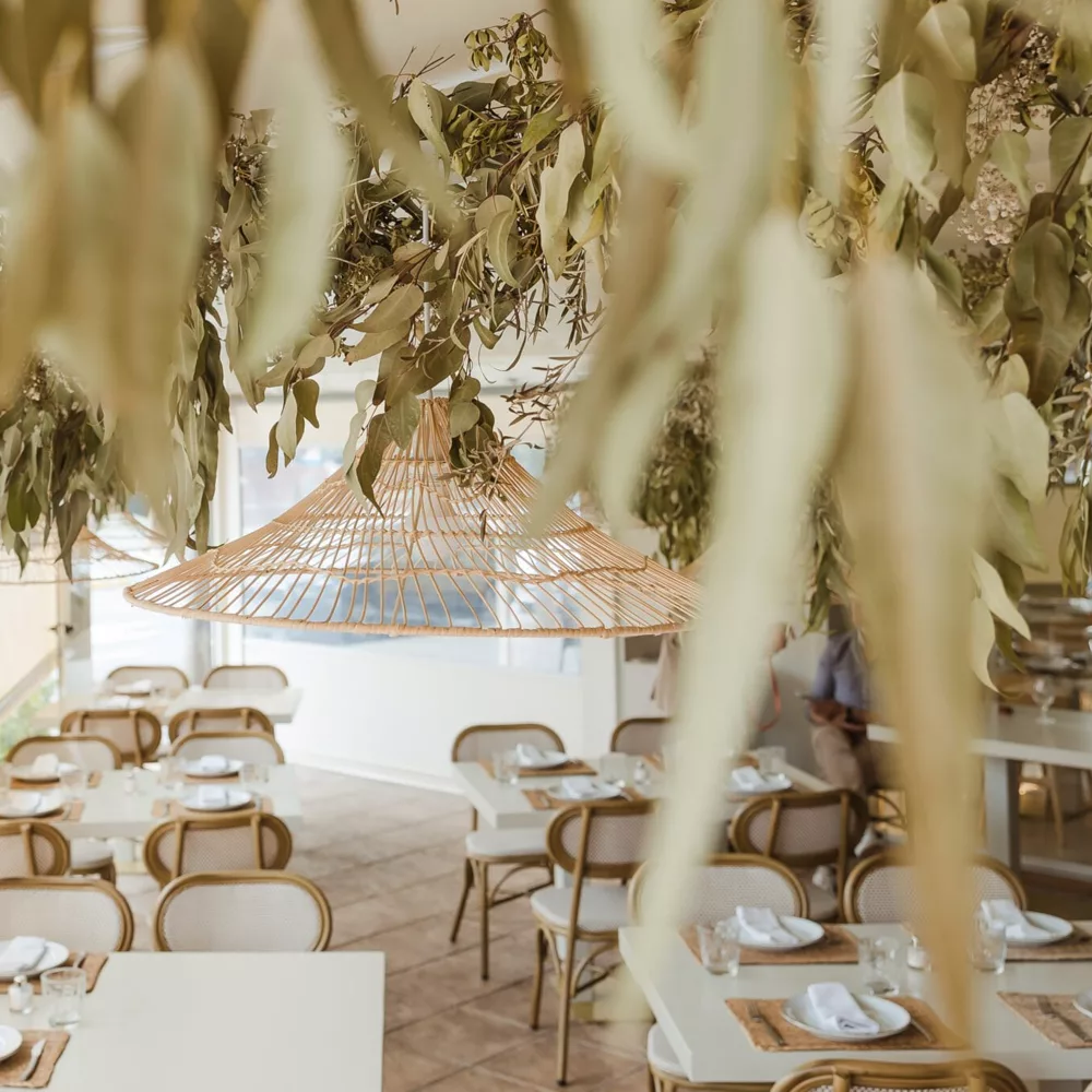 Ambiente de Racó del Pla en Alicante